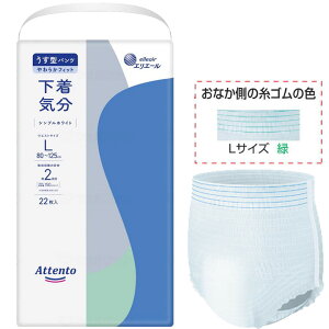 ނ Aeg ^pc C VvzCg LTCY 22  剤 GG[ 21000036