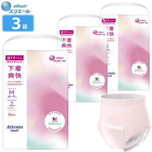 ނ pc u Aeg ^pc 2z MTCY GKgsNx[W 24×3 剤 GG[ 21000021