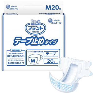 ނ Aeg e[v~߃^Cv MTCY 20 Ɩp 剤 20763660