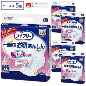 ނ Ӓ񂵂AƂpbh pX[p[ 22 5 Ct[ jp jE`[ P[X̔ Zbg