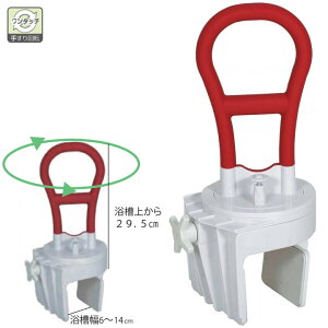 pi Cp肷^[Obv rO No.505 肷 C肷  Obv