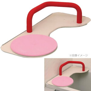 pi oXx[M[II CNX21 BB-009 oX{[h ] 肷t