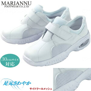 oI V1 GRm~[v 30cmTCYΉ }Ak V1E i[XV[Y fB[X Y wp[V[Y [NV[Y wp[C  CCpC V[Y v[