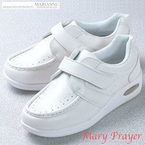 i[XV[Y }[vA GRm~[v wp[C }AkC No.3810 E E{ݓp fB[X [NV[Y wp[V[Y  CCpC V[Y