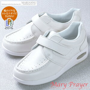 }[vA i[XV[Y NIeB[v wp[C }AkC No.3810 Q E{ݓp fB[X [NV[Y wp[V[Y  CCpC V[Y