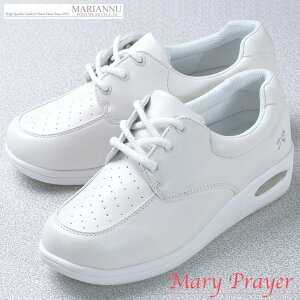 i[XV[Y }[vA GRm~[v wp[C }AkC No.3850 E E{ݓp fB[X [NV[Y wp[V[Y  CCpC V[Y