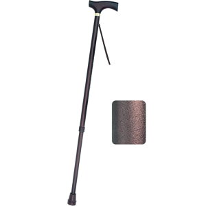  XebL LkؐObv 쏊 v[g 