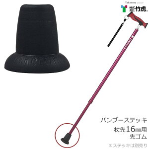  XebL ou[XebLpS Vtga16mmp ւS | 104950