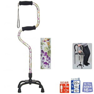  XebL 2i^l_ ԕ tWz[ WB3558 v[g 