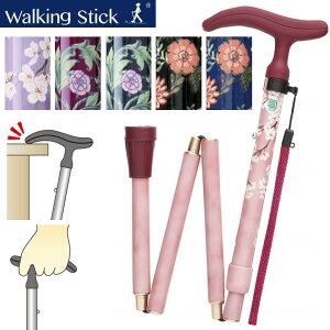  XebL ANeBuO[X ܏S ܂ tWz[ WB3752 WB3753 WB3758 WB3759 WB5229 WB5230 v[g 