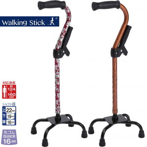  XebL l_⏕Obvt tWz[ WB3801 WB3802 v[g 