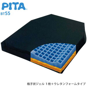 Ԉ֎qNbV s^EV[gNbV BT55 t@fB[i BTXPT002A ԂpNbV