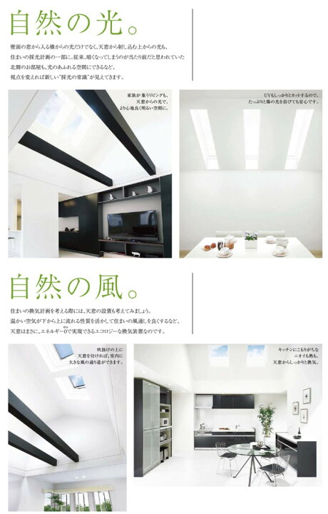 楽天市場】【マラソン期間中はエントリーでポイント5倍】天窓 スカイ 