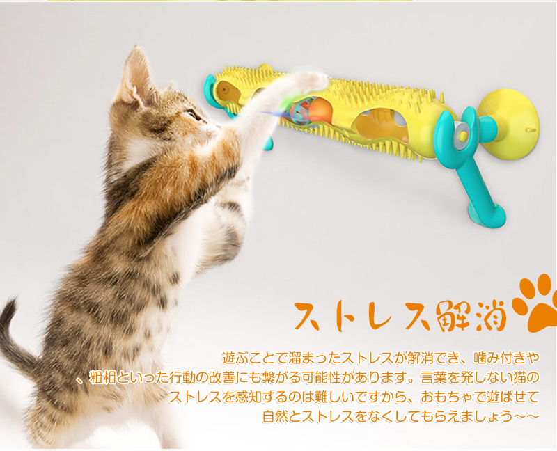 楽天市場】【ストレス解消！猫ちゃんの運動不足解消に】猫 おもちゃ