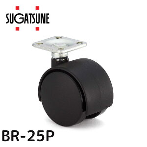 SUGATSUNE XKclH LX^[ BR^ v[g^Cv bN@\Ȃ 200-132-032 BR-25P | LAMP LX^[ BR^ v[g^Cv bN@\Ȃ ubN ԗ o Ƌ֘A t S 