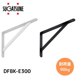 fBt[ dʗpI DFBK-E300 ^@XKclH 295×210@؃lWt@1i