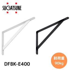 fBt[ dʗpI DFBK-E400 ^@XKclH 395×270@؃lWt@1i