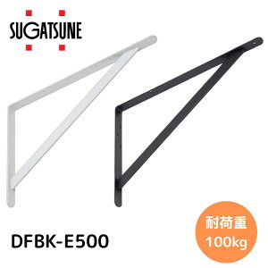 fBt[ dʗpI DFBK-E500 ^@XKclH 495×330@؃lWt@1i