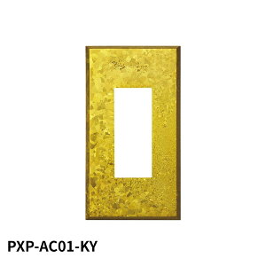 �X�K�c�l�H�ƍH�� 210027184 PXP-AC01-KY�X�C�b�`�v���[�g�E�R���Z���g�v���[�g PXPAC01KY 3278