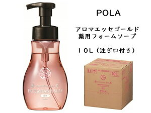 POLA |[ A}GbZS[h tFCXandnh\[v@10L Ɩp@p\[v