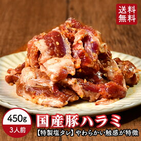 【 送料無料 】 豚ハラミ 特製塩味 450g 国産 豚 ハラミ 焼肉 焼肉用