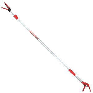 Y E-Value nLk} EGLP-3