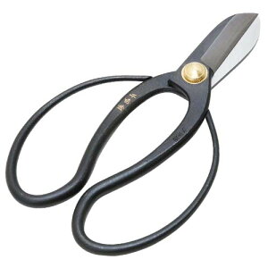 yubNtCf[ ʃN[|&P2{IzY g  × 165MM