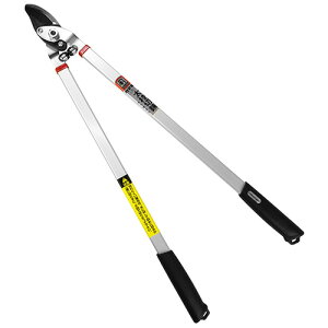 yX[p[SAILN[|P2{IzJ}L } L|81 nbf