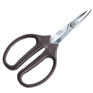 yX[p[SAILN[|P2{IzAX NtgȐn 350|M nbf