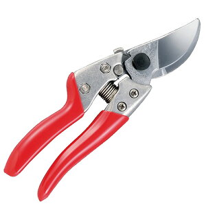 yubNtCf[ ʃN[|&P2{IzAX  VS7 VS|7Z nbf