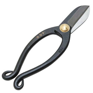 yubNtCf[ ʃN[|&P2{IzY g  rVV 165MM