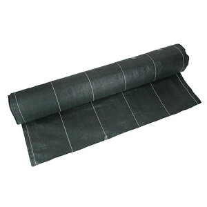 Y G΍ ZteB-3 xhV[g  1X50m  G | ubN x Ռ