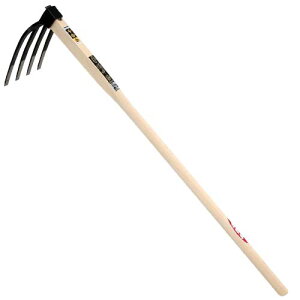 Y yÂ g  L 4zc K[fjO |pi _   _ _