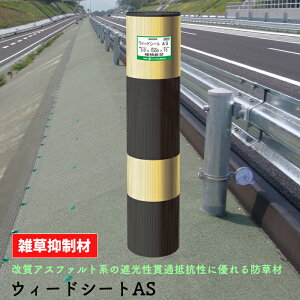 G} EB[hV[gAS 1.1×8m } G΍ Gh~V[g V[g ΍ h~