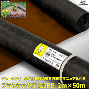 yubNtCf[ ʃN[|&P2{IzvebNX125BB hV[g 2m×50m ubN/uE f| Uo[ } G΍ Gh~V[g V[g ΍ h~ _