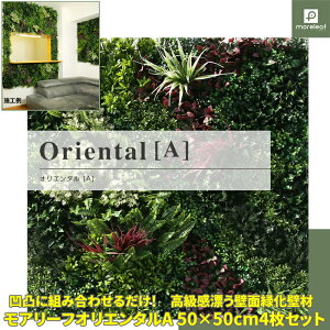 A[t IG^A 50cm×50cm 4Zbg lHϗtA EH[O[ ϗtAǎ jIrY CeA  tFCNO[ gC ȒPݒu fnEX ǎΉ