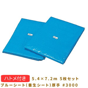 【クーポン&P2倍!24日(金)20時〜】ブルーシート(養生シート)厚手 #3000 5.4X7.2m 5セット 091Z504054072C