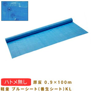 yubNtCf[ ʃN[|&P2{Izy u[V[g({V[g)KL  0.9X100m 091Z50409100