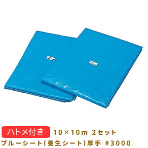 ブルーシート(養生シート)厚手 #3000 10X10m 2セット 091Z5041010C