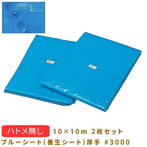 ngiV u[V[g({V[g) #3000 10X10 2Zbg 091Z504CNE1010