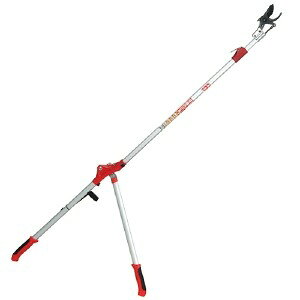 �y��g�z[SGLP�|8](4977292639293) �L�k�����}����