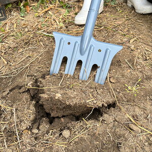 25N8ViygzyNtH[N [SGF-6] (4977292617116) K[ftH[N y  H ~n  z y ϋv I  k  yh肪ǂ 