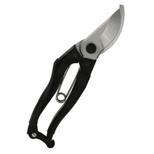 25N8ViygzXeX [SGP-61] (4977292628136) oT~ A͙ H  vdl Ɩp ϋv Kтɂ I  K[fjO ƒ؉ d |