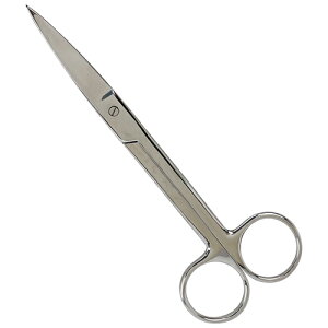 25N8ViygzGARDENVU[ [Xg[g] (4977292603270) prnT~  H A͙ y Ɩp ϋv I  |nT~ ƒ؉ d K[fjO ϗt