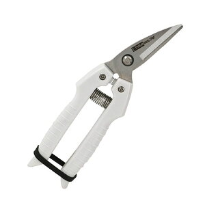 25N8ViyE|Valuez\͂ASCg J[u [EMSL-170C] (4977292129114) J[un prnT~ ސؒf  H  z y vdl Ɩp y I  A~ 