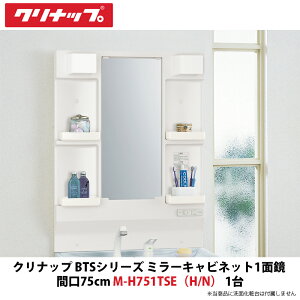 Nibv@BTSV[Y@~[Lrlbg1ʋPi@75cmԌ@M-H751TSEiH/Nj@1