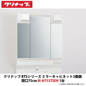 Nibv@BTSV[Y@~[Lrlbg3ʋPi@75cmԌ@M-H753TSEH@1