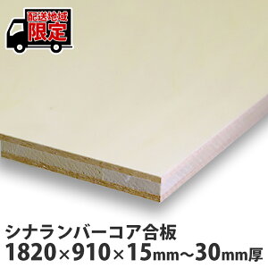 Vio[RA@1820×910mm@1@lւ̔zĂ܂I