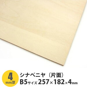 VixjiЖʁj@B5TCY@257×182×4mm@1