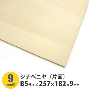 VixjiЖʁj@B5TCY@257×182×9mm@1